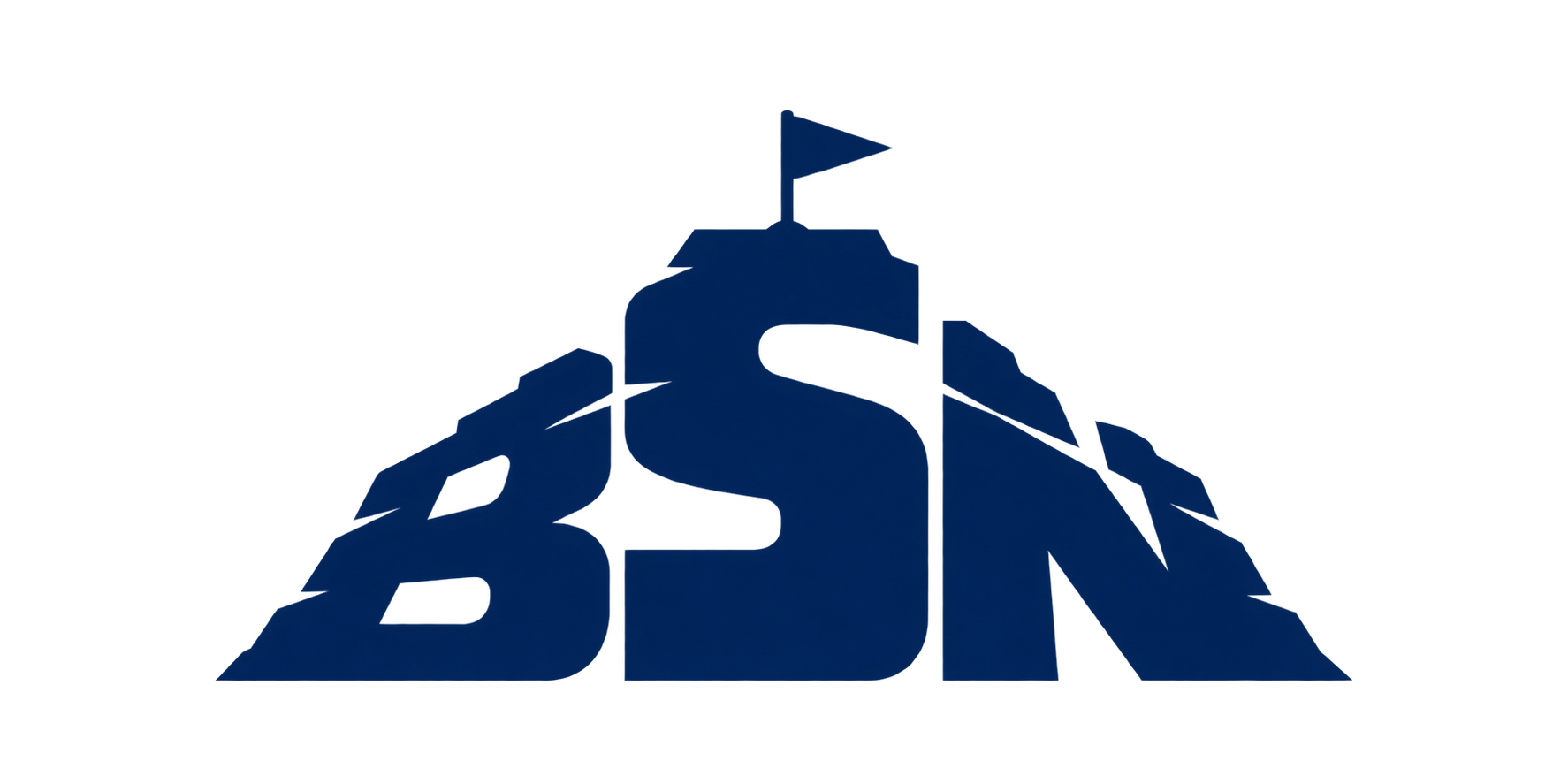 BSN logo